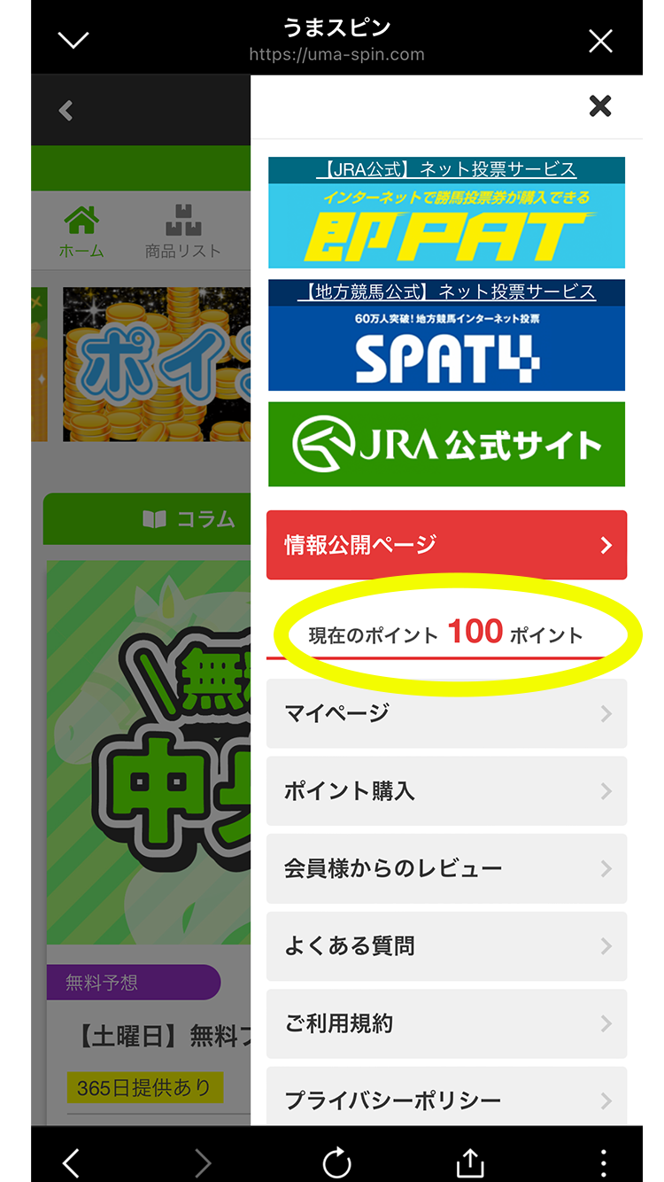 公式サイトをチェック