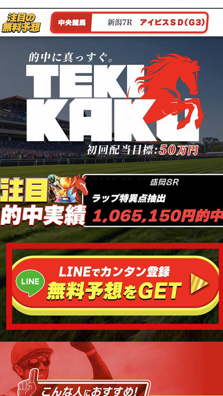 公式サイトをチェック